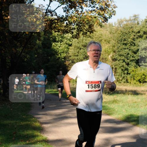 28.09.2025 - 33. Volkslauf durch das schöne Alstertal Fabian Wolf http://msf.ph/oto/8978099 28.09.2025 10:04:05 Laufen 1536, 1589 meine-sportfotos.de