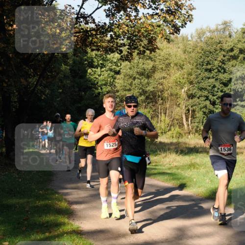 28.09.2025 - 33. Volkslauf durch das schöne Alstertal Fabian Wolf http://msf.ph/oto/8978101 28.09.2025 10:04:10 Laufen 1540, 1537, 1525, 1536 meine-sportfotos.de