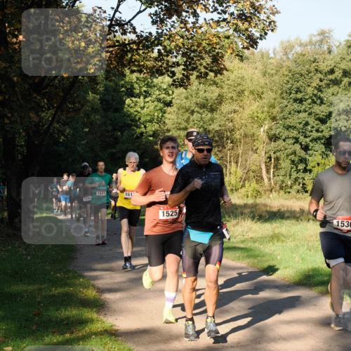 28.09.2025 - 33. Volkslauf durch das schöne Alstertal Fabian Wolf http://msf.ph/oto/8978102 28.09.2025 10:04:10 Laufen 1540, 1537, 161, 1525, 1536 meine-sportfotos.de