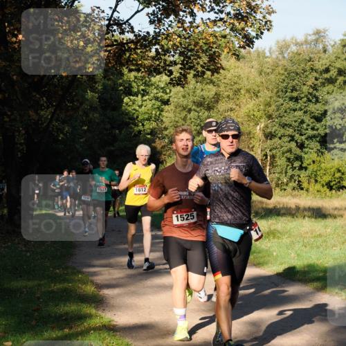 28.09.2025 - 33. Volkslauf durch das schöne Alstertal Fabian Wolf http://msf.ph/oto/8978104 28.09.2025 10:04:10 Laufen 1540, 1537, 1612, 1525 meine-sportfotos.de