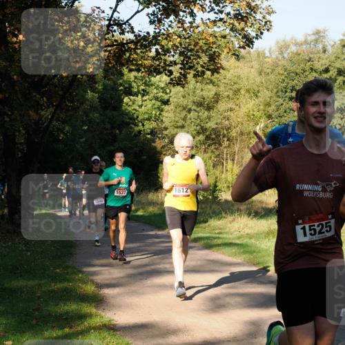 28.09.2025 - 33. Volkslauf durch das schöne Alstertal Fabian Wolf http://msf.ph/oto/8978105 28.09.2025 10:04:12 Laufen 1537, 1540, 1612, 1525 meine-sportfotos.de