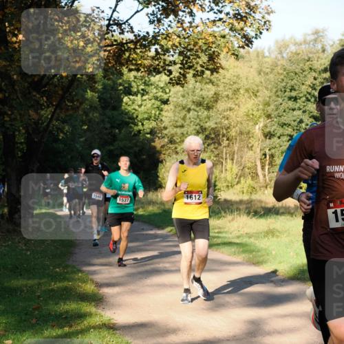 28.09.2025 - 33. Volkslauf durch das schöne Alstertal Fabian Wolf http://msf.ph/oto/8978106 28.09.2025 10:04:12 Laufen 1540, 1537, 1612, 15 meine-sportfotos.de