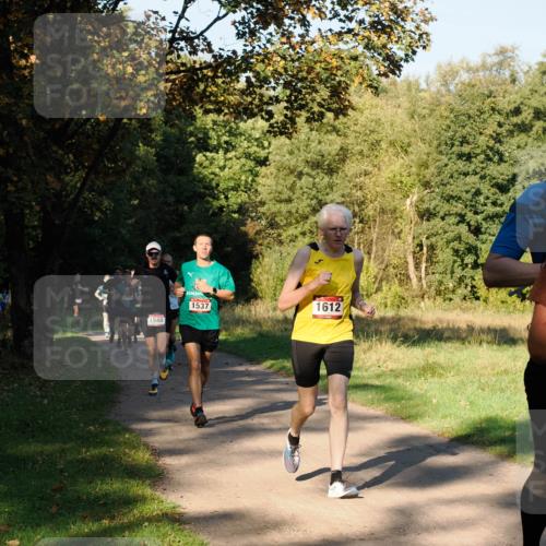 28.09.2025 - 33. Volkslauf durch das schöne Alstertal Fabian Wolf http://msf.ph/oto/8978107 28.09.2025 10:04:12 Laufen 1540, 1537, 1612 meine-sportfotos.de