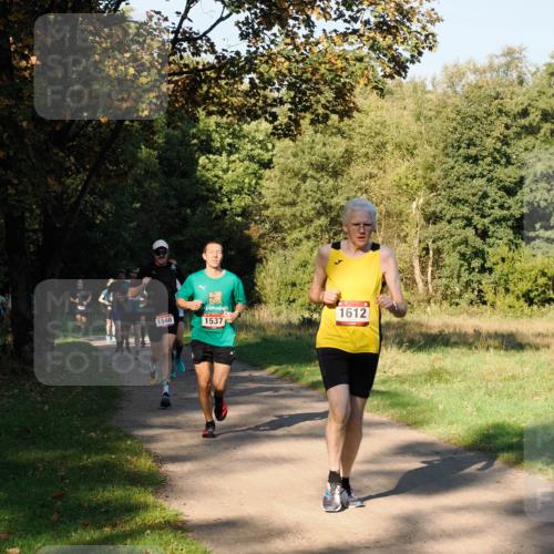 28.09.2025 - 33. Volkslauf durch das schöne Alstertal Fabian Wolf http://msf.ph/oto/8978108 28.09.2025 10:04:12 Laufen 1540, 1537, 1612 meine-sportfotos.de
