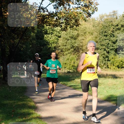 28.09.2025 - 33. Volkslauf durch das schöne Alstertal Fabian Wolf http://msf.ph/oto/8978110 28.09.2025 10:04:13 Laufen 1593, 1540, 1537, 1612 meine-sportfotos.de