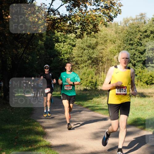 28.09.2025 - 33. Volkslauf durch das schöne Alstertal Fabian Wolf http://msf.ph/oto/8978111 28.09.2025 10:04:13 Laufen 1540, 1537, 1612 meine-sportfotos.de