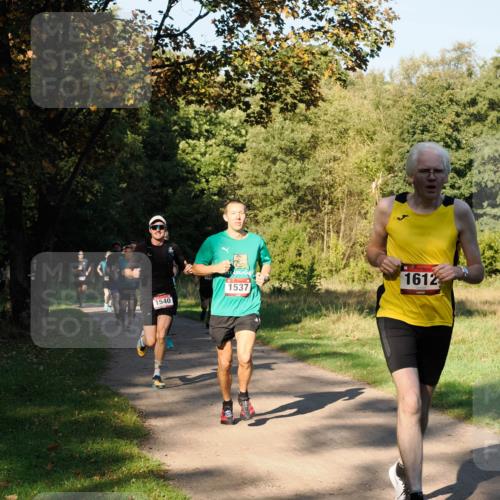 28.09.2025 - 33. Volkslauf durch das schöne Alstertal Fabian Wolf http://msf.ph/oto/8978112 28.09.2025 10:04:13 Laufen 1540, 156, 1537, 1612 meine-sportfotos.de