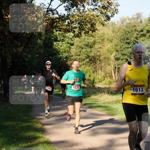 28.09.2025 - 33. Volkslauf durch das schöne Alstertal Fabian Wolf http://msf.ph/oto/8978113 28.09.2025 10:04:13 Laufen 1593, 1540, 1537, 1612 meine-sportfotos.de