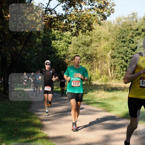 28.09.2025 - 33. Volkslauf durch das schöne Alstertal Fabian Wolf http://msf.ph/oto/8978114 28.09.2025 10:04:13 Laufen 15, 1540, 1567, 1537, 16 meine-sportfotos.de