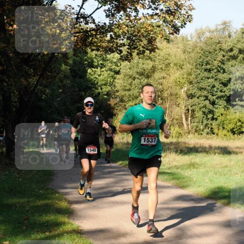 28.09.2025 - 33. Volkslauf durch das schöne Alstertal Fabian Wolf http://msf.ph/oto/8978115 28.09.2025 10:04:14 Laufen 1593, 1540, 1567, 1537 meine-sportfotos.de