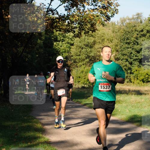 28.09.2025 - 33. Volkslauf durch das schöne Alstertal Fabian Wolf http://msf.ph/oto/8978117 28.09.2025 10:04:14 Laufen 1593, 167, 1540, 1537 meine-sportfotos.de