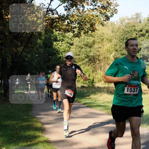 28.09.2025 - 33. Volkslauf durch das schöne Alstertal Fabian Wolf http://msf.ph/oto/8978119 28.09.2025 10:04:15 Laufen 1593, 1574, 1540, 1537 meine-sportfotos.de