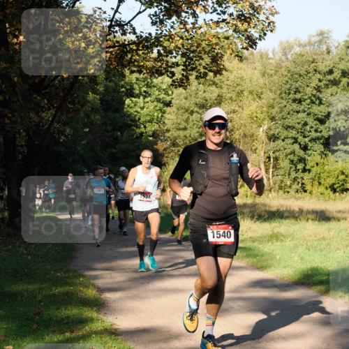 28.09.2025 - 33. Volkslauf durch das schöne Alstertal Fabian Wolf http://msf.ph/oto/8978122 28.09.2025 10:04:15 Laufen 1593, 155, 1574, 1540 meine-sportfotos.de