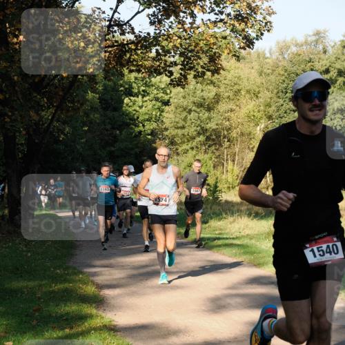 28.09.2025 - 33. Volkslauf durch das schöne Alstertal Fabian Wolf http://msf.ph/oto/8978124 28.09.2025 10:04:16 Laufen 8004, 1567, 1593, 1553, 1574, 1540 meine-sportfotos.de