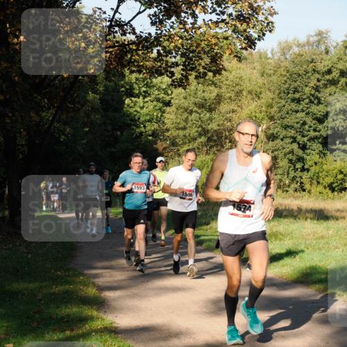 28.09.2025 - 33. Volkslauf durch das schöne Alstertal Fabian Wolf http://msf.ph/oto/8978128 28.09.2025 10:04:17 Laufen 163, 1008, 1593, 1596, 1574 meine-sportfotos.de