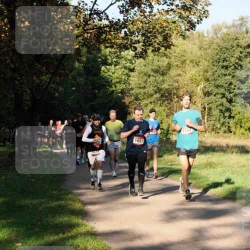 28.09.2025 - 33. Volkslauf durch das schöne Alstertal Fabian Wolf http://msf.ph/oto/8978143 28.09.2025 10:04:28 Laufen 1616, 165, 1651, 1932, 1527, 1547 meine-sportfotos.de