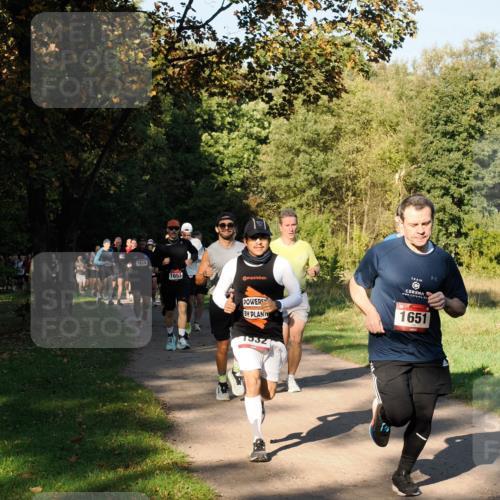 28.09.2025 - 33. Volkslauf durch das schöne Alstertal Fabian Wolf http://msf.ph/oto/8978148 28.09.2025 10:04:30 Laufen 1618, 1653, 1532, 1651 meine-sportfotos.de