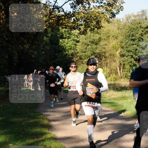 28.09.2025 - 33. Volkslauf durch das schöne Alstertal Fabian Wolf http://msf.ph/oto/8978151 28.09.2025 10:04:31 Laufen 1618, 1653, 174, 1532 meine-sportfotos.de
