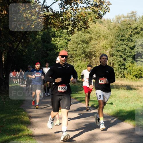 28.09.2025 - 33. Volkslauf durch das schöne Alstertal Fabian Wolf http://msf.ph/oto/8978154 28.09.2025 10:04:34 Laufen 1531, 1618, 7, 159, 1653, 9 meine-sportfotos.de