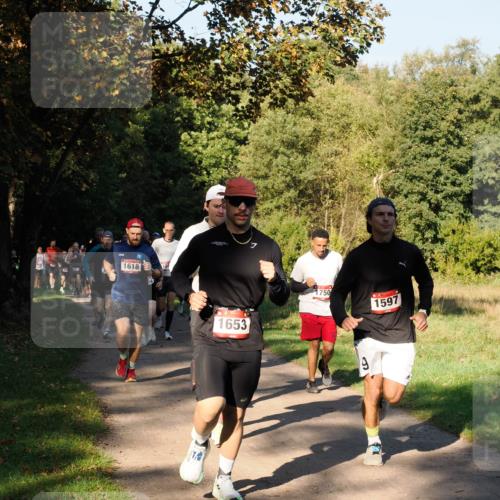 28.09.2025 - 33. Volkslauf durch das schöne Alstertal Fabian Wolf http://msf.ph/oto/8978155 28.09.2025 10:04:34 Laufen 1618, 158, 1653, 1750, 1597, 9 meine-sportfotos.de