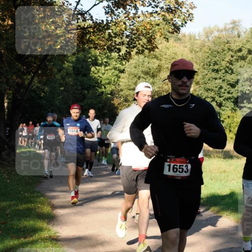 28.09.2025 - 33. Volkslauf durch das schöne Alstertal Fabian Wolf http://msf.ph/oto/8978157 28.09.2025 10:04:35 Laufen 1531, 1618, 1653, 9 meine-sportfotos.de