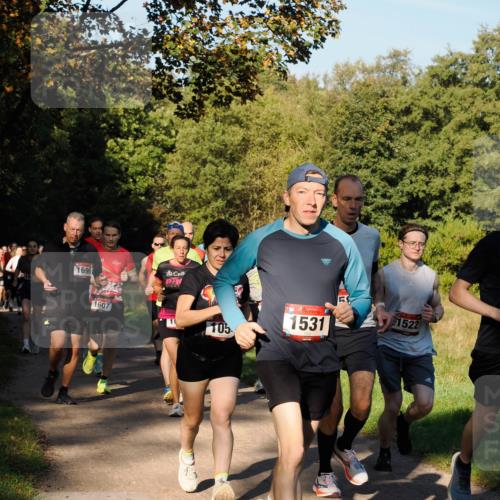 28.09.2025 - 33. Volkslauf durch das schöne Alstertal Fabian Wolf http://msf.ph/oto/8978158 28.09.2025 10:04:38 Laufen 104, 1696, 1607, 1531, 105, 1522 meine-sportfotos.de