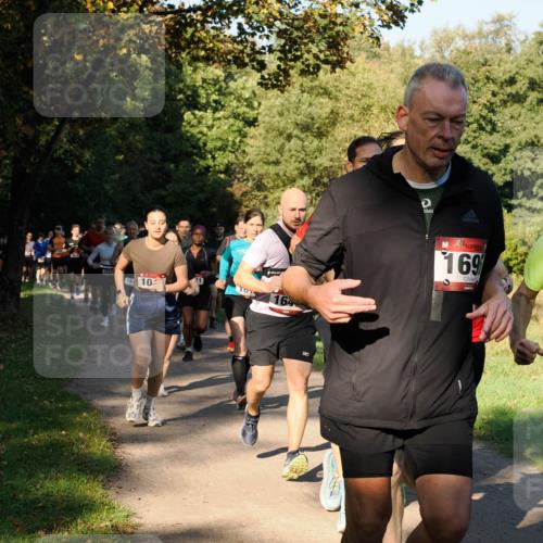 28.09.2025 - 33. Volkslauf durch das schöne Alstertal Fabian Wolf http://msf.ph/oto/8978164 28.09.2025 10:04:41 Laufen 1123, 161, 10, 164, 169 meine-sportfotos.de