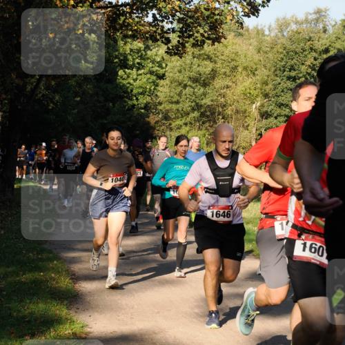 28.09.2025 - 33. Volkslauf durch das schöne Alstertal Fabian Wolf http://msf.ph/oto/8978165 28.09.2025 10:04:42 Laufen 1123, 1040, 21, 1646, 160 meine-sportfotos.de