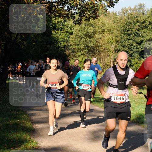 28.09.2025 - 33. Volkslauf durch das schöne Alstertal Fabian Wolf http://msf.ph/oto/8978167 28.09.2025 10:04:42 Laufen 18, 1123, 1614, 104, 1012, 1646 meine-sportfotos.de