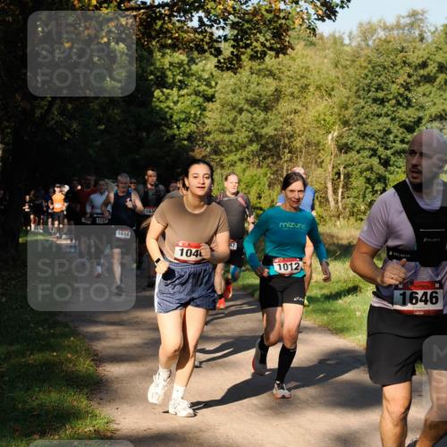 28.09.2025 - 33. Volkslauf durch das schöne Alstertal Fabian Wolf http://msf.ph/oto/8978169 28.09.2025 10:04:43 Laufen 1123, 1614, 163, 104, 1012, 1646 meine-sportfotos.de