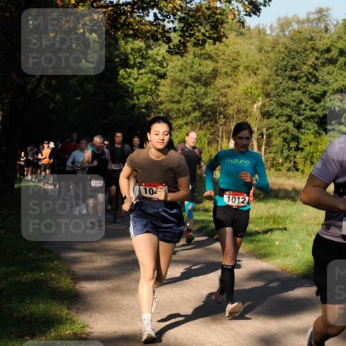 28.09.2025 - 33. Volkslauf durch das schöne Alstertal Fabian Wolf http://msf.ph/oto/8978170 28.09.2025 10:04:43 Laufen 1123, 1614, 1638, 10, 1012 meine-sportfotos.de