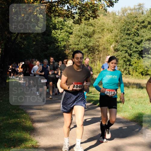 28.09.2025 - 33. Volkslauf durch das schöne Alstertal Fabian Wolf http://msf.ph/oto/8978171 28.09.2025 10:04:43 Laufen 1808, 112, 1614, 638, 1257, 1040, 1012 meine-sportfotos.de