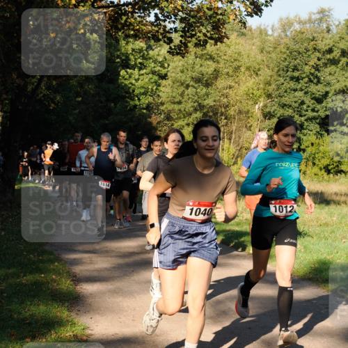 28.09.2025 - 33. Volkslauf durch das schöne Alstertal Fabian Wolf http://msf.ph/oto/8978172 28.09.2025 10:04:43 Laufen 1604, 18, 1123, 1614, 38, 1040, 1012 meine-sportfotos.de