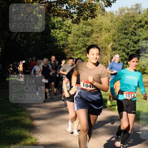 28.09.2025 - 33. Volkslauf durch das schöne Alstertal Fabian Wolf http://msf.ph/oto/8978173 28.09.2025 10:04:44 Laufen 1604, 1125, 1614, 638, 154, 02, 1040, 1012 meine-sportfotos.de