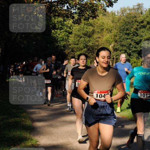 28.09.2025 - 33. Volkslauf durch das schöne Alstertal Fabian Wolf http://msf.ph/oto/8978174 28.09.2025 10:04:44 Laufen 1604, 1808, 1123, 1614, 125, 104, 1012 meine-sportfotos.de