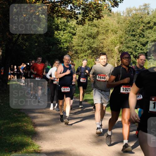 28.09.2025 - 33. Volkslauf durch das schöne Alstertal Fabian Wolf http://msf.ph/oto/8978175 28.09.2025 10:04:45 Laufen 16, 1808, 112, 1614, 1548, 1648, 1021, 647, 1 meine-sportfotos.de