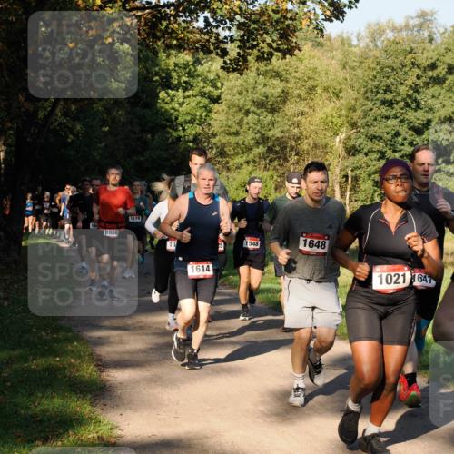 28.09.2025 - 33. Volkslauf durch das schöne Alstertal Fabian Wolf http://msf.ph/oto/8978176 28.09.2025 10:04:45 Laufen 16, 1808, 1119, 11, 1614, 1548, 1648, 1021, 1647 meine-sportfotos.de