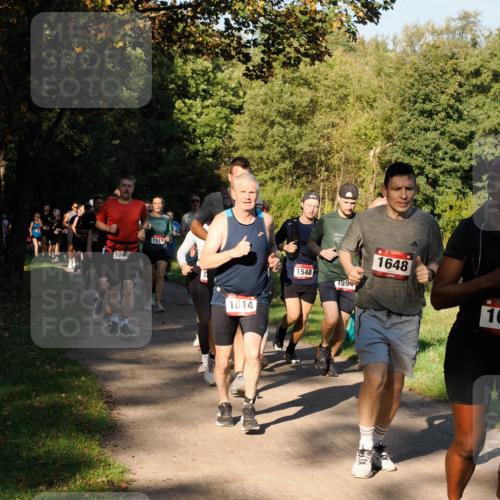 28.09.2025 - 33. Volkslauf durch das schöne Alstertal Fabian Wolf http://msf.ph/oto/8978178 28.09.2025 10:04:46 Laufen 180, 1119, 1614, 1548, 159, 1648, 10 meine-sportfotos.de