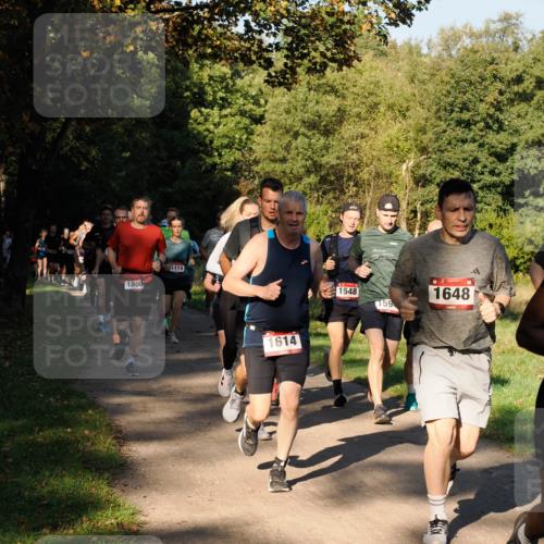 28.09.2025 - 33. Volkslauf durch das schöne Alstertal Fabian Wolf http://msf.ph/oto/8978179 28.09.2025 10:04:46 Laufen 1808, 1119, 1614, 1548, 159, 1648 meine-sportfotos.de