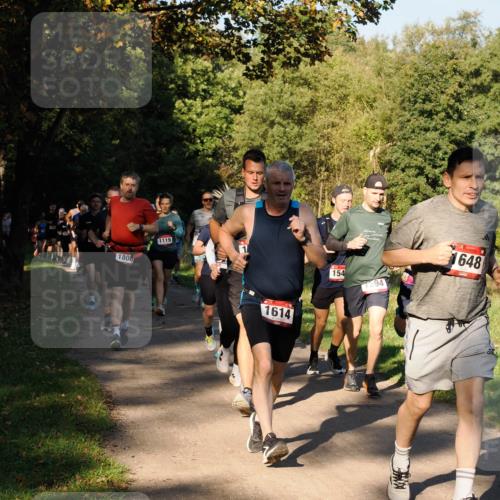 28.09.2025 - 33. Volkslauf durch das schöne Alstertal Fabian Wolf http://msf.ph/oto/8978180 28.09.2025 10:04:46 Laufen 1808, 1119, 1, 154, 1594, 648, 1614 meine-sportfotos.de