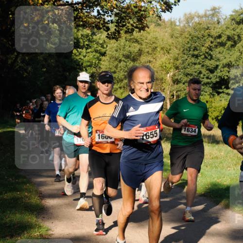 28.09.2025 - 33. Volkslauf durch das schöne Alstertal Fabian Wolf http://msf.ph/oto/8978193 28.09.2025 10:04:55 Laufen 17, 1600, 655, 1634 meine-sportfotos.de