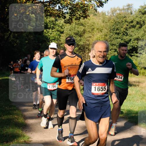 28.09.2025 - 33. Volkslauf durch das schöne Alstertal Fabian Wolf http://msf.ph/oto/8978194 28.09.2025 10:04:55 Laufen 1704, 166, 1655, 634 meine-sportfotos.de