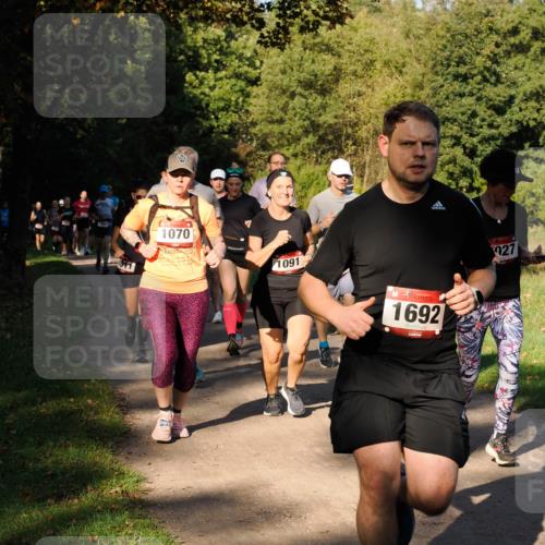 28.09.2025 - 33. Volkslauf durch das schöne Alstertal Fabian Wolf http://msf.ph/oto/8978203 28.09.2025 10:05:03 Laufen 1464, 1070, 1091, 1692, 027 meine-sportfotos.de