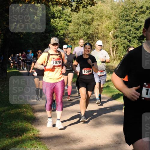 28.09.2025 - 33. Volkslauf durch das schöne Alstertal Fabian Wolf http://msf.ph/oto/8978205 28.09.2025 10:05:03 Laufen 1070, 1091, 1639, 10 meine-sportfotos.de