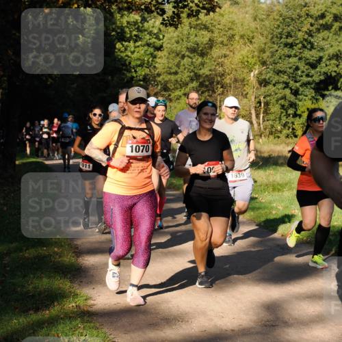 28.09.2025 - 33. Volkslauf durch das schöne Alstertal Fabian Wolf http://msf.ph/oto/8978206 28.09.2025 10:05:04 Laufen 1466, 1011, 1070, 29, 51, 1, 0, 1639 meine-sportfotos.de