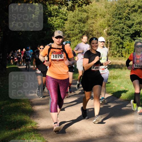 28.09.2025 - 33. Volkslauf durch das schöne Alstertal Fabian Wolf http://msf.ph/oto/8978207 28.09.2025 10:05:04 Laufen 1466, 1011, 1070, 1091, 639, 102 meine-sportfotos.de
