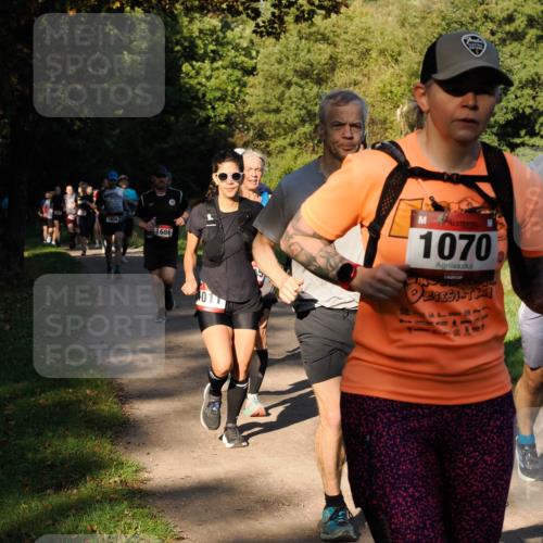 28.09.2025 - 33. Volkslauf durch das schöne Alstertal Fabian Wolf http://msf.ph/oto/8978212 28.09.2025 10:05:05 Laufen 1656, 1686, 01, 1070 meine-sportfotos.de
