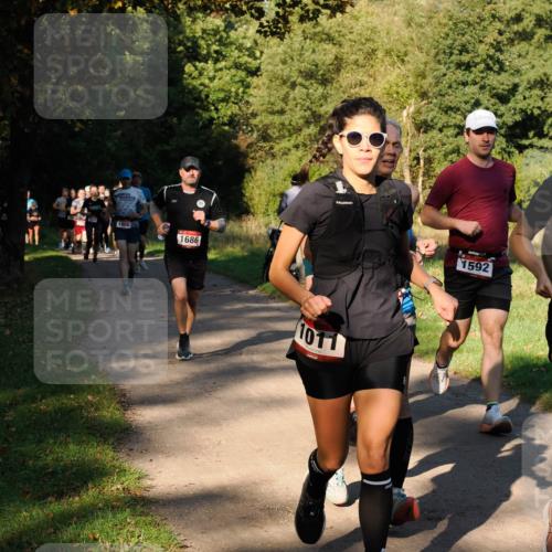28.09.2025 - 33. Volkslauf durch das schöne Alstertal Fabian Wolf http://msf.ph/oto/8978218 28.09.2025 10:05:06 Laufen 1656, 1686, 1011, 1592 meine-sportfotos.de