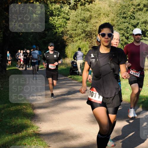 28.09.2025 - 33. Volkslauf durch das schöne Alstertal Fabian Wolf http://msf.ph/oto/8978219 28.09.2025 10:05:06 Laufen 1656, 1686, 101, 592 meine-sportfotos.de