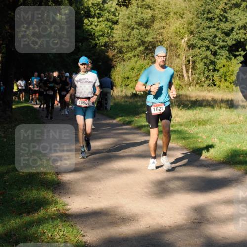 28.09.2025 - 33. Volkslauf durch das schöne Alstertal Fabian Wolf http://msf.ph/oto/8978230 28.09.2025 10:05:10 Laufen 1032, 1642, 1656, 1621 meine-sportfotos.de